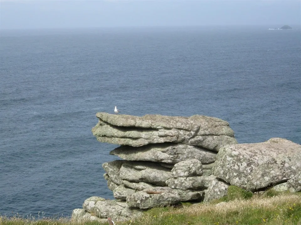 Day 3 lands end to sennen cove seagull